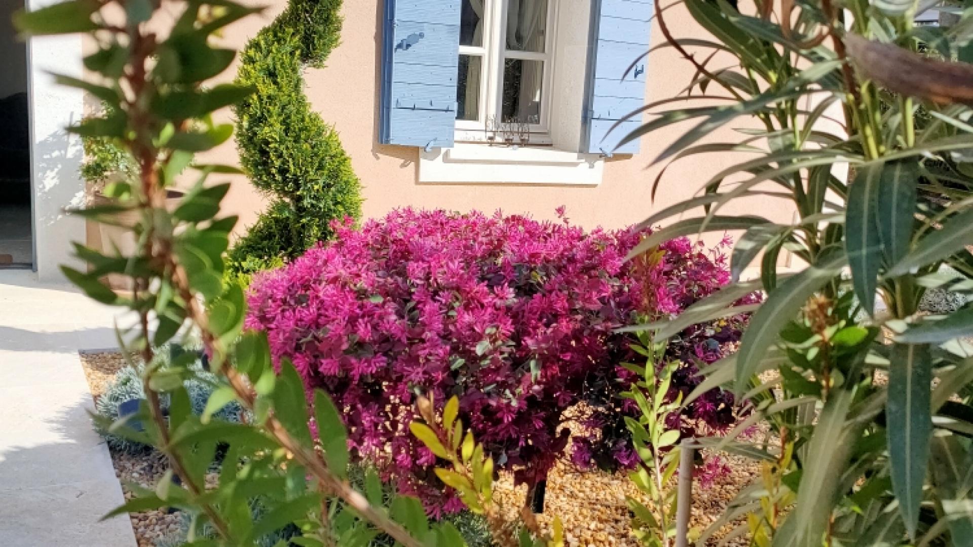Bienvenu au Mas De Roussillon. Une maison d'Hôte de charme en plein coeur du Luberon. 