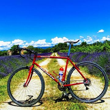 Venez découvrir la provence à vélo en notre compagnie ! 