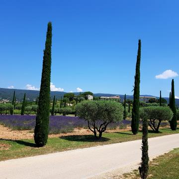 Vos panoramas 