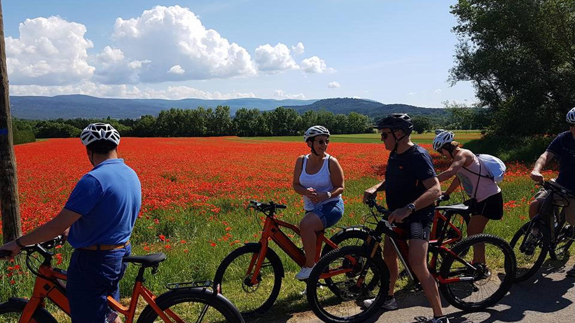 Les visites en vélos