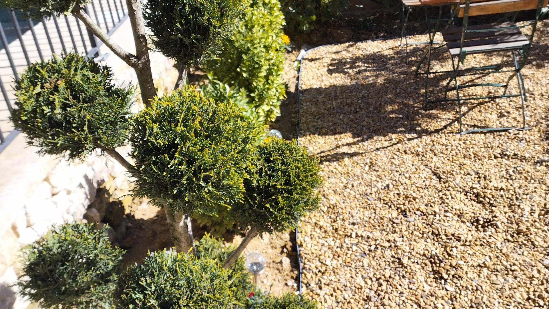 Son jardin sophistiqué au coeur du hameau 